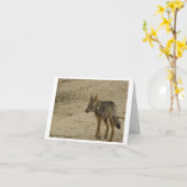 野性生物の写真撮影のメッセージカードのデザイン3 カード (黄色い花)