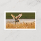 野性生物の写真撮影の名刺 名刺 (裏面)
