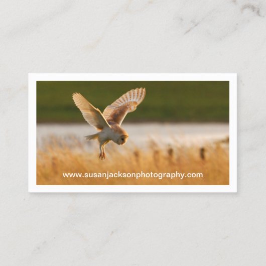 野性生物の写真撮影の名刺 名刺 (裏面)