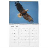 野性生物の壁掛けカレンダーの白頭鷲2014年 カレンダー (3月 2026)