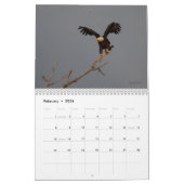 野性生物の壁掛けカレンダーの白頭鷲2014年 カレンダー (2月 2026)