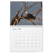 野性生物の壁掛けカレンダーの白頭鷲2014年 カレンダー (1月 2026)