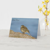 野性生物の挨拶状 カード (黄色い花)