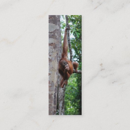 野性生物の木のHuggerの小型しおり スキニー名刺 (正面)