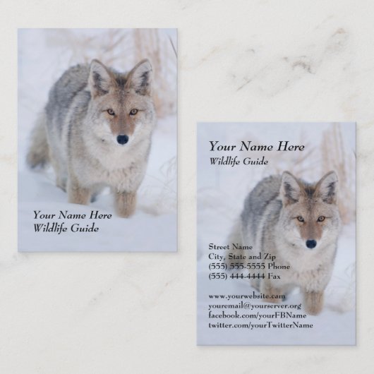 野性生物ガイドのコヨーテの名刺 名刺 (正面/裏面)