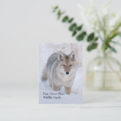 野性生物ガイドのコヨーテの名刺 名刺 (スタンド正面)