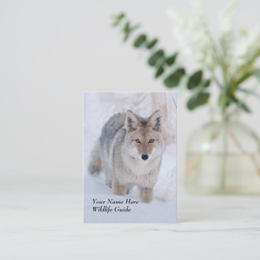 野性生物ガイドのコヨーテの名刺 名刺 (スタンド正面)