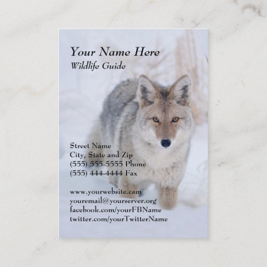 野性生物ガイドのコヨーテの名刺 名刺 (裏面)