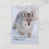 野性生物ガイドのコヨーテの名刺 名刺 (正面)