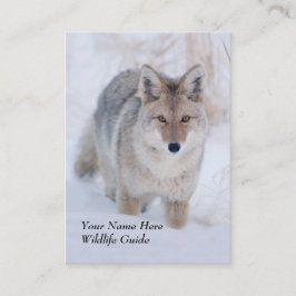 野性生物ガイドのコヨーテの名刺 名刺