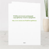 野性生物動物は挨拶状を元気づけます カード (裏面)
