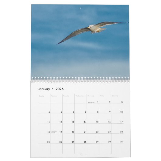 野性生物2019年のベスト カレンダー (1月 2026)