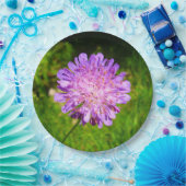 野戦壊血病紙プレート ペーパープレート (パーティー)