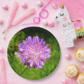 野戦壊血病紙プレート ペーパープレート (パーティー)