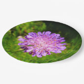 野戦壊血病紙プレート ペーパープレート (アングル)