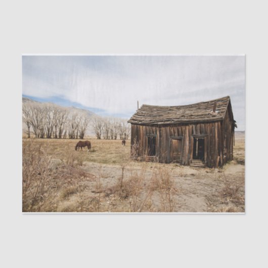 野擦り切れた原の外の納屋と馬 薄葉紙 (正面)