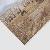 野擦り切れた原の外の納屋と馬 薄葉紙 (詳細)