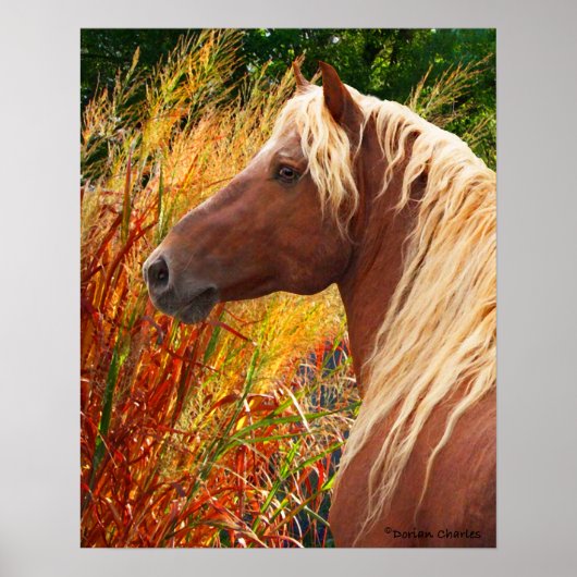 「野火」ポスター ポスター (正面)