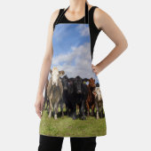 野牛 エプロン (インサイチュ)