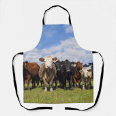 野牛 エプロン (正面)