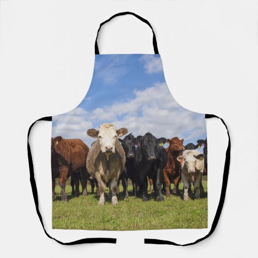 野牛 エプロン (正面)