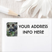 野犬の子犬 ラベル (インサイチュ)