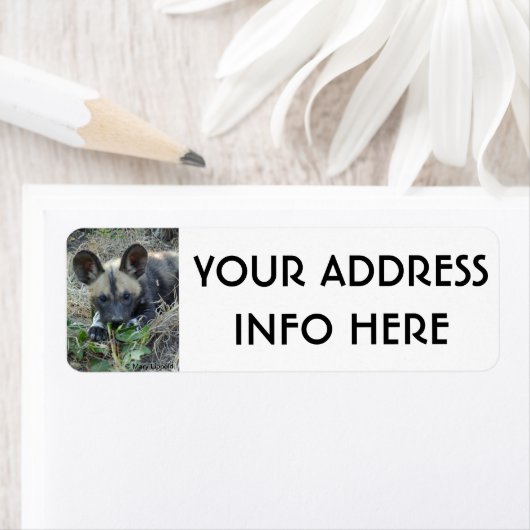 野犬の子犬 ラベル (インサイチュ)