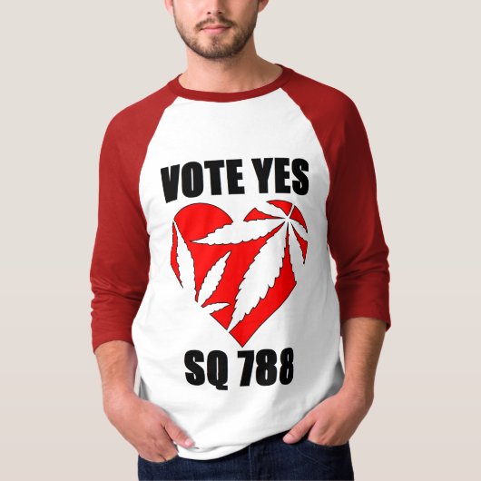 野球のティー Tシャツ (正面)