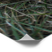 野球の夢の写真 ポスター (角)