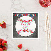 野球スポーツシャルボード1日 スタンダードカクテルナプキン (インサイチュ)