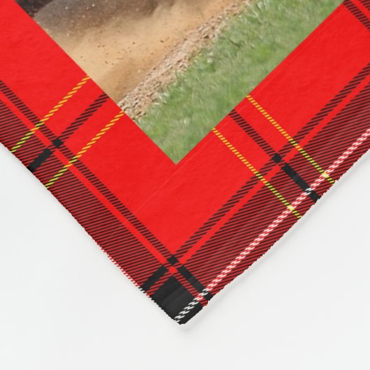 野球バッファローフォトコラージュ フリースブランケット (角)