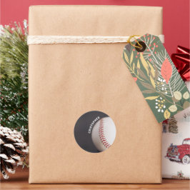 野球パーソナライズされた ラウンドシール