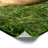 野球ピットブル ポスター (角)