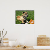 野球ピットブル ポスター (キッチン)