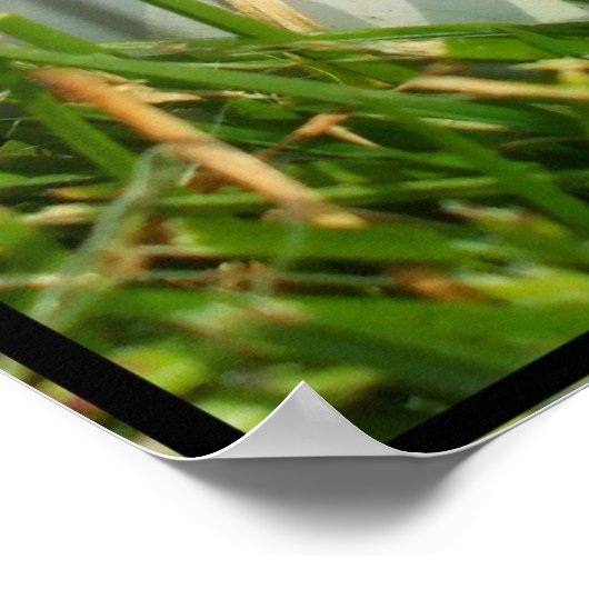 野球ポスター ポスター (角)