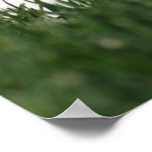 野球マウンド ポスター (角)