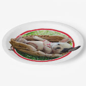 野球ミットのかわいい子犬 ペーパープレート (アングル)