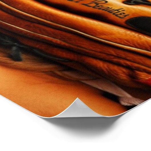 野球美しい ポスター (角)