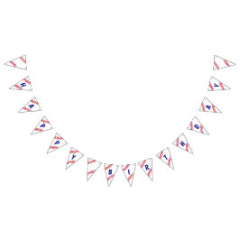 野球誕生日旗 バンティングフラッグ