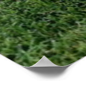 野球・野球グローブポスター ポスター (角)