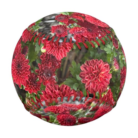 野球 野球ボール (正面)