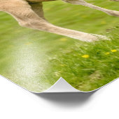 野生おもしろいのKonik Horsesが遊一緒にフォル –  フォトプリント (角)