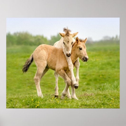 野生おもしろいのKonik Horsesが遊一緒にフォル –  ポスター (正面)