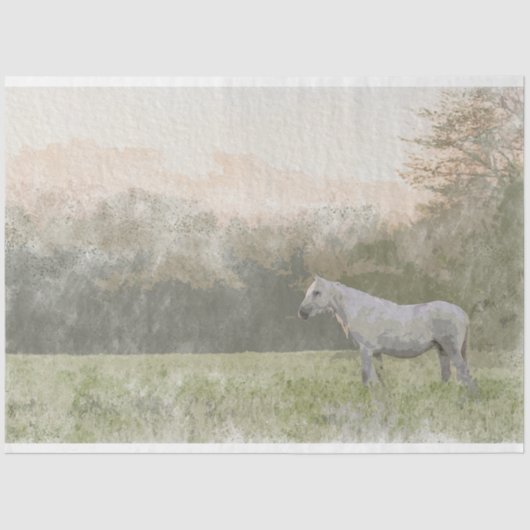 野生および自由18 lb組織の分離紙 薄葉紙 (正面)