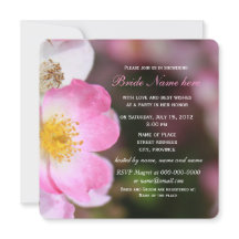 野生かわいらしのピンクのバラの花ブライダルシャワー