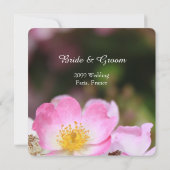 野生かわいらしのピンクのバラの花結婚式招待状。 招待状 (裏面)