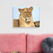 野生で休む美しいライオン キャンバスプリント (インサイチュ (リビング))