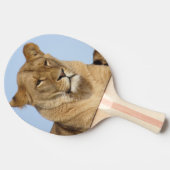 野生で休む美しいライオン 卓球ラケット (横)