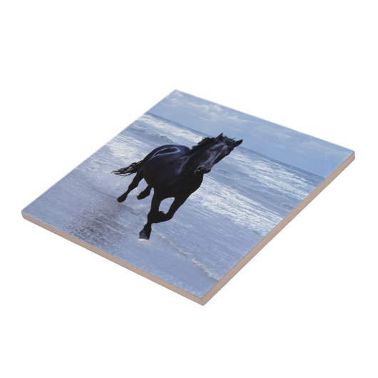 野生で自由な馬 タイル (側面)