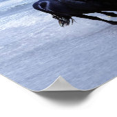 野生で自由な馬 ポスター (角)